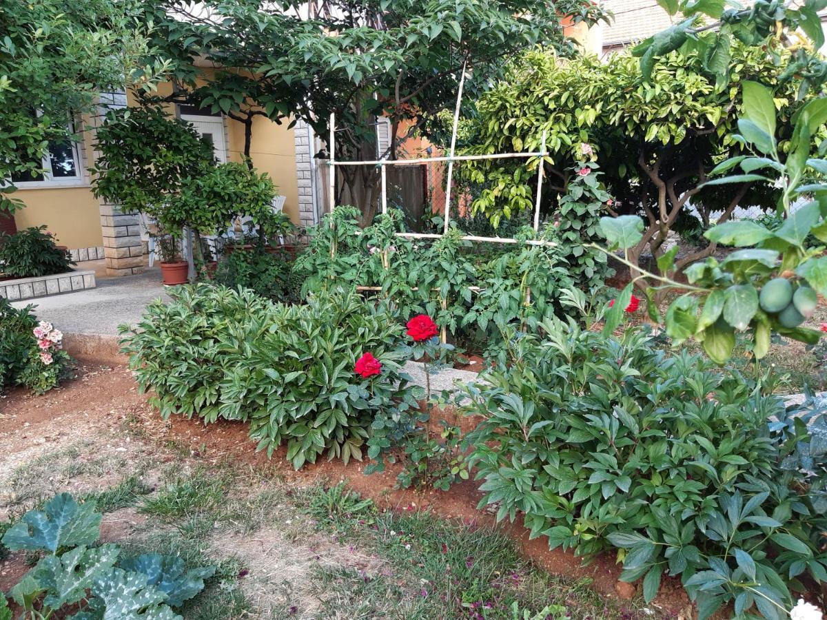 Apartment Jardin With Free Cowered Parking Zadar Ngoại thất bức ảnh