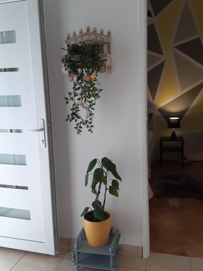 Apartment Jardin With Free Cowered Parking Zadar Ngoại thất bức ảnh