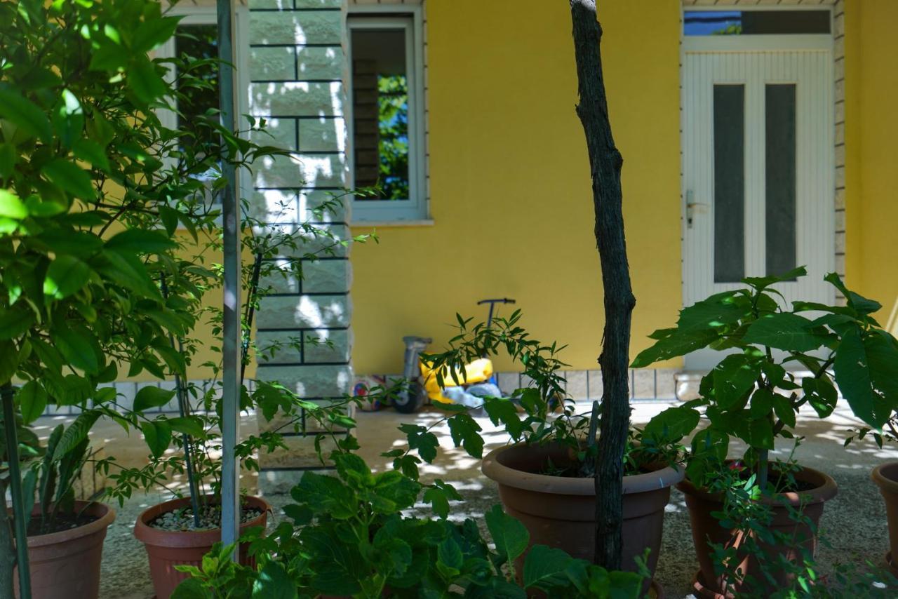 Apartment Jardin With Free Cowered Parking Zadar Ngoại thất bức ảnh